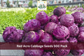 500 Seeds Red Acre Cabbage Brassica oleracea Vegetable Garden Seeds