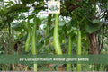 10 Cucuzzi Italian Edible Gourd Seeds Heirloom Long Bottle Gourd Vegetable Garden