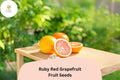 15 Ruby Red Grapefruit Seeds – Grow Your Own Citrus Tree