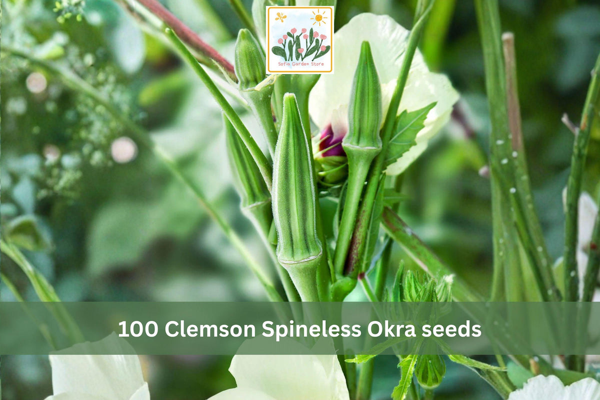 100 Seeds Clemson Spineless Okra Heirloom Vegetable Garden