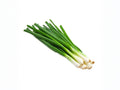 50 Evergreen Bunching Onion Seeds | Heirloom Non-GMO Scallions for Vegetable Gardens