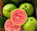 Grafted Ruby Guava Tree Live Plant 1 Gallon Pot Tropical Fruit Tree