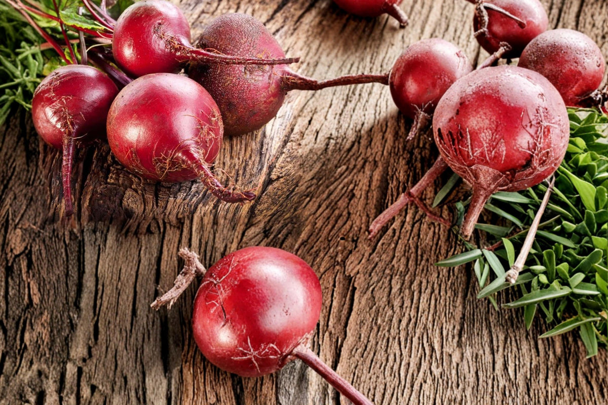 250 Seeds Blood Beet Beta vulgaris Heirloom Vegetable