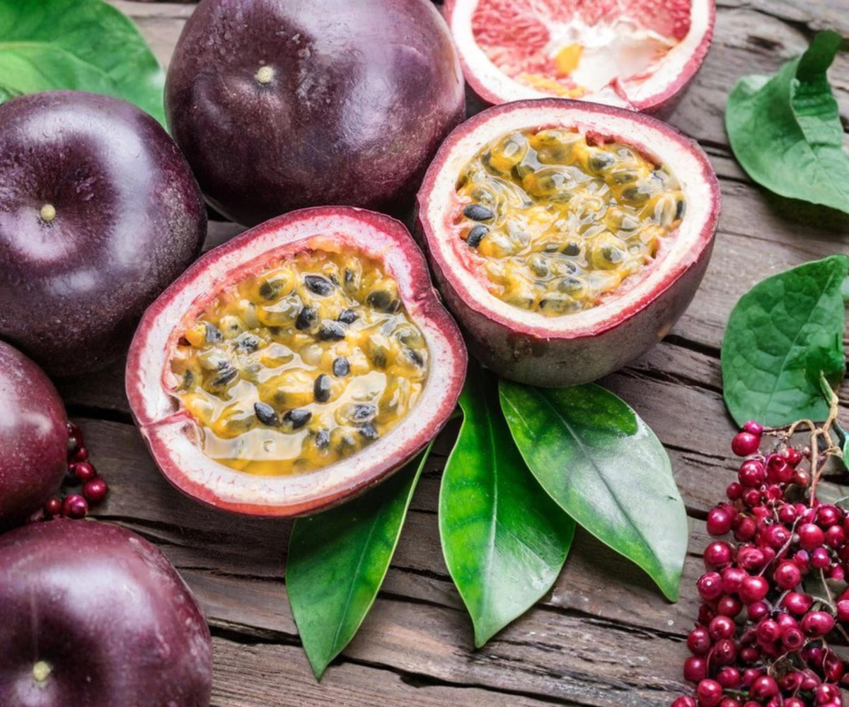 Possum Purple Passion Fruit Live Plants Set of 4 Tropical Vine Starter