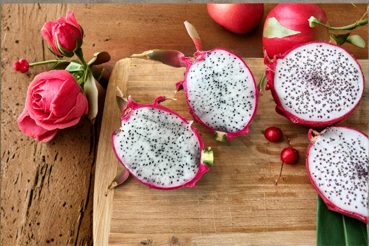 Dragon Fruit Plant – Hylocereus undatus, 1 Live Plant