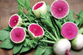 250 Seeds Watermelon Radish Raphanus sativus Heirloom Root Vegetable