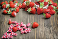 5 Rooted Strawberry Plants Cavendish Fragaria x ananassa