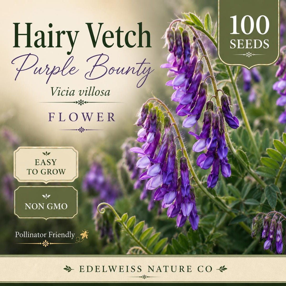 100 Hairy Vetch Purple Bounty Seeds - Heirloom Non-GMO Cover Crop