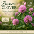 100 Berseem Clover Seeds Heirloom Non-GMO Egyptian Clover Trifolium alexandrinum Cover Crop