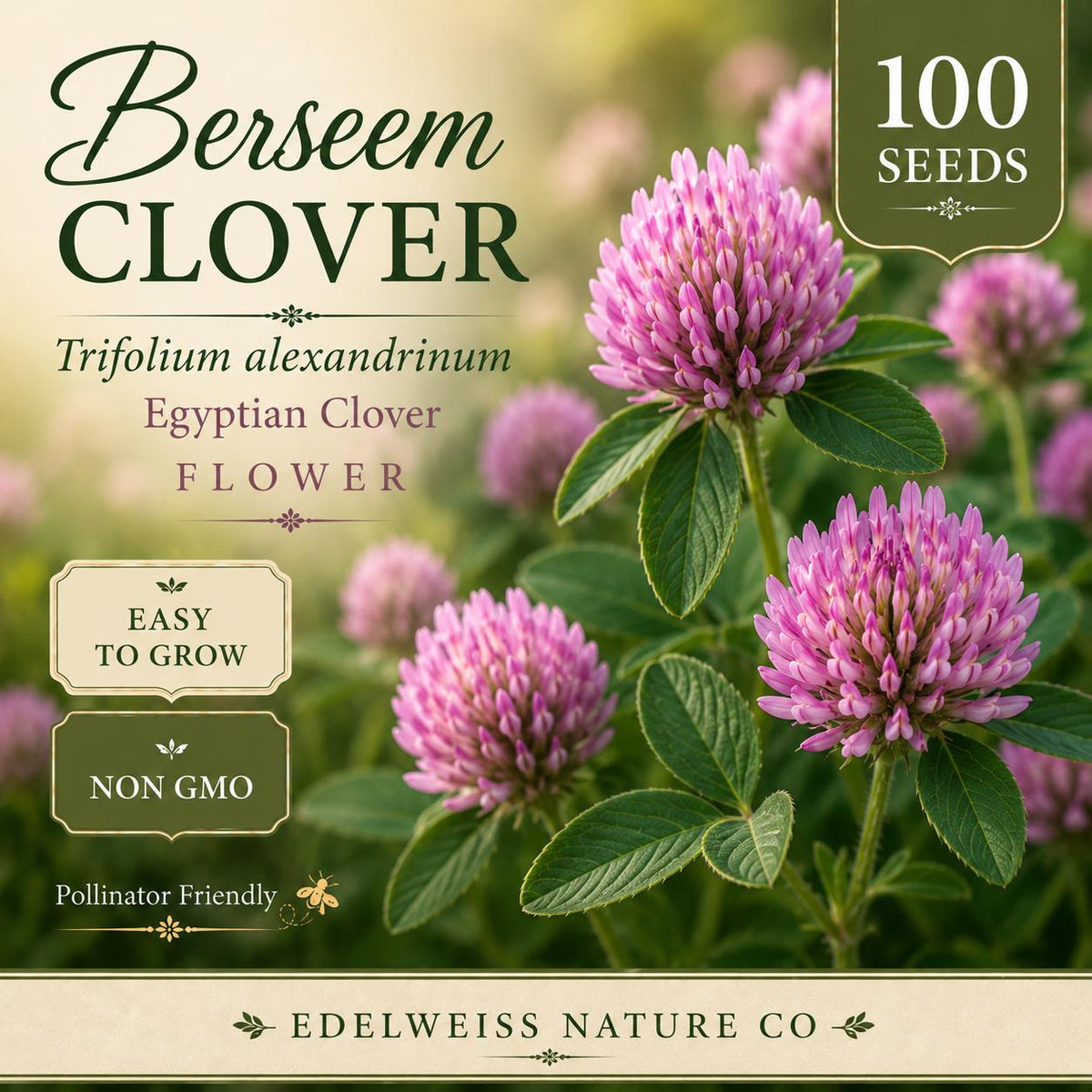 100 Berseem Clover Seeds Heirloom Non-GMO Egyptian Clover Trifolium alexandrinum Cover Crop