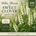 100 White Sweet Clover Seeds – Heirloom, Non-GMO Pollinator Flower Garden Crop