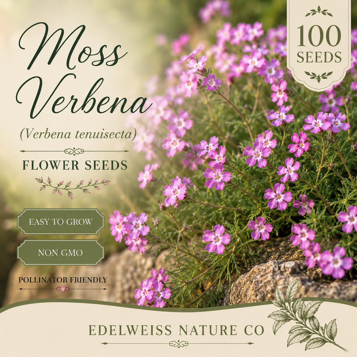 Moss Verbena Seeds – Heirloom Purple Ground Cover, Pollinator Friendly (100 Seeds)