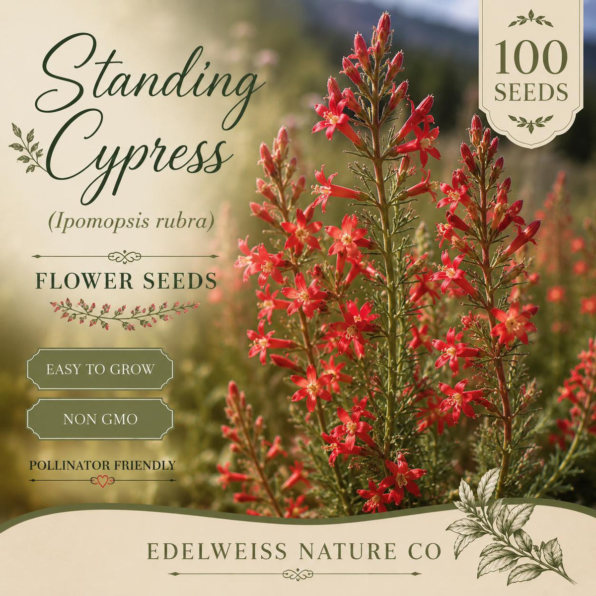 100 Standing Cypress Seeds Heirloom Non-GMO Ipomopsis rubra Red Wildflower