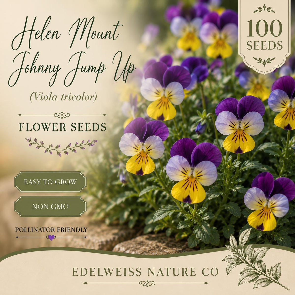 100 Johnny Jump Up Seeds – Heirloom Non-GMO Viola Tricolor for Edible Flower Gardens