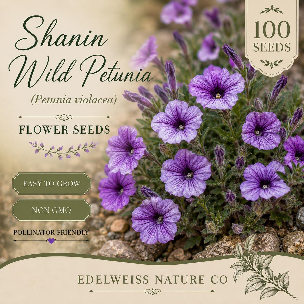 100 Shanin Wild Petunia Seeds – Heirloom Non-GMO Petunia violacea Purple Flowers for Pollinator Gardens