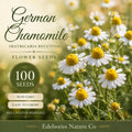100 German Chamomile Seeds – Heirloom Fragrant Herb, Non-GMO for Tea Garden
