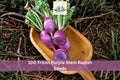 100 Triton Purple Stem Radish Seeds