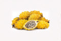 1 Yellow Dragon Fruit Plant – Selenicereus megalanthus