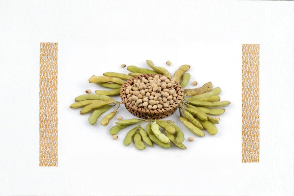 2 Soybean Meal Glycine max Organic Nitrogen Fertilizer Soil Amendment