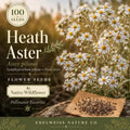 100 Heath Aster Seeds – Symphyotrichum Pilosum Native Pollinator Wildflower