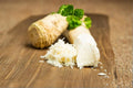 1 Live Root Horseradish Armoracia rusticana Hardy Perennial Culinary Herb Root