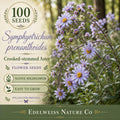 Symphyotrichum prenanthoides 100 Seeds – Crooked Stemmed Aster Heirloom Non-GMO Native Blue Pollinator Flower