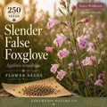 Agalinis Tenuifolia Seeds – 250 Slender False Foxglove Native Pink Wildflower