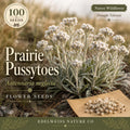 Antennaria Neglecta Seeds – 100 Prairie Pussytoes Native Groundcover Wildflower