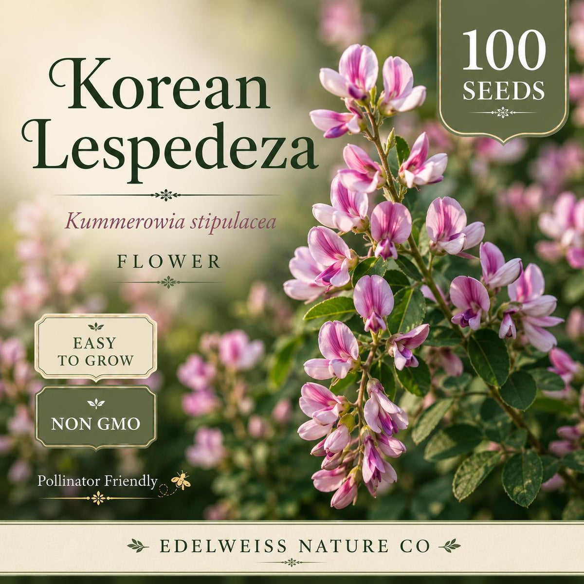 100 Korean Lespedeza Seeds - Heirloom Non-GMO Cover Crop for Soil Building