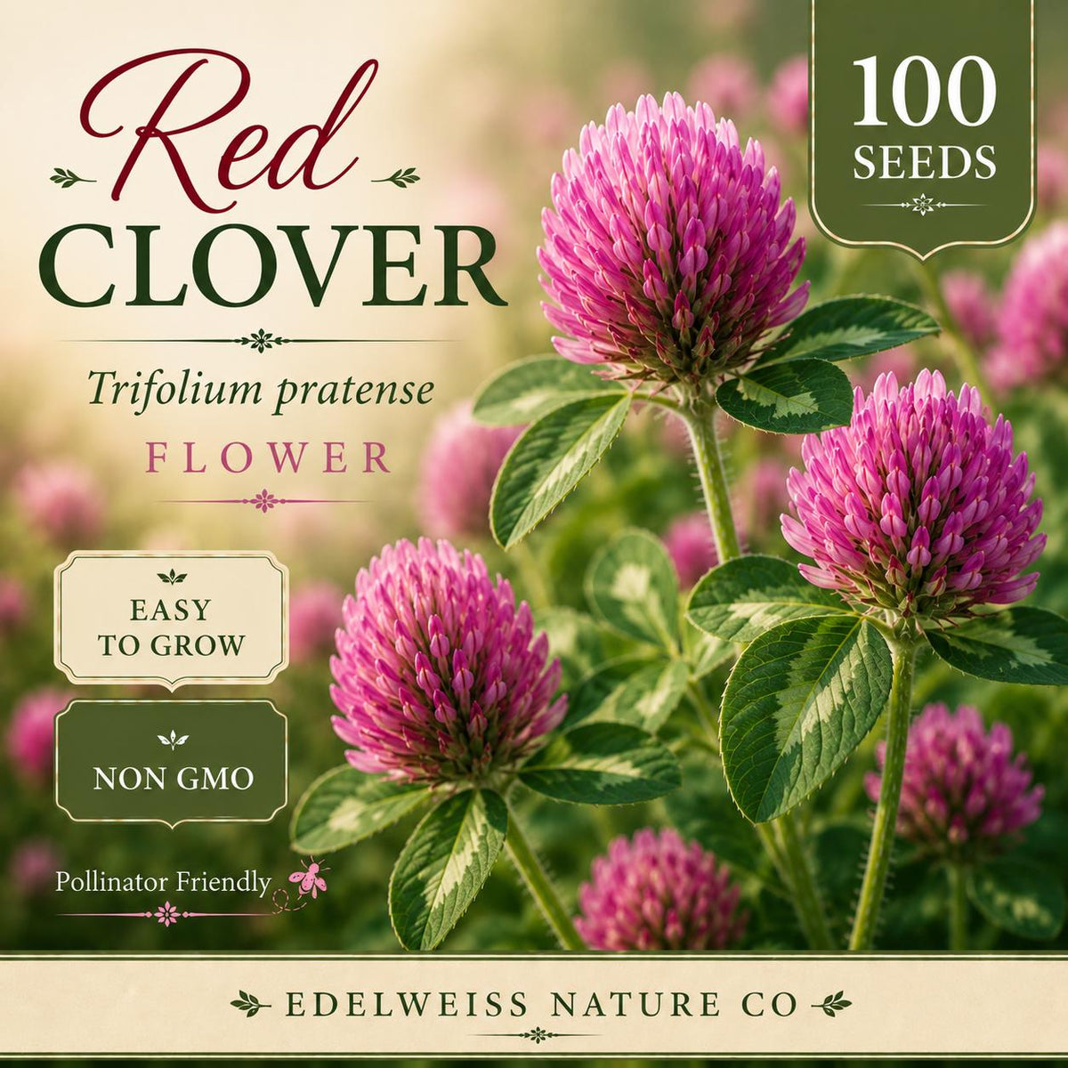 100 Red Clover Seeds – Heirloom, Non-GMO Pollinator Flower for Garden Planting