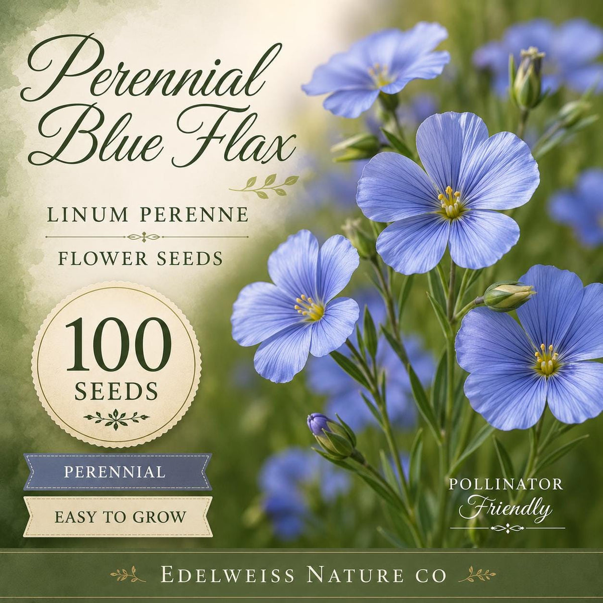 100 Perennial Blue Flax Seeds - Heirloom Non-GMO Wildflower for Pollinators