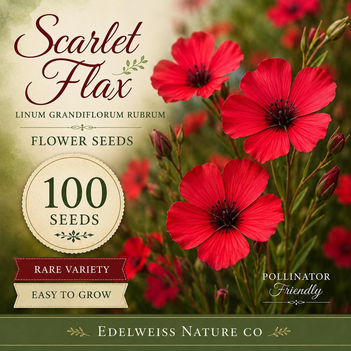 Scarlet Flax 100 Seeds – Heirloom Non-GMO Red Wildflower for Garden Planting