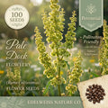 100 Pale Dock Seeds – Rumex altissimus Native Meadow Wildflower