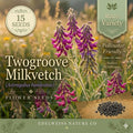 Astragalus Bisulcatus Seeds – 15 Twogroove Milkvetch Native Prairie Legume