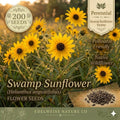 Swamp Sunflower Seeds – 200 Helianthus Angustifolius Native Perennial Seeds