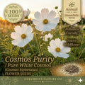 Cosmos Purity Seeds – 100 White Heirloom Annual Flower Seeds for Planting