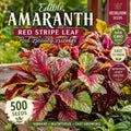 500 Edible Amaranth Red Stripe Leaf Seeds - Red Beauty Tricolor Heirloom Vegetable