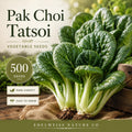 Tatsoi Pak Choi Seeds | Heirloom Asian Greens for Easy Growing (500 Seeds)