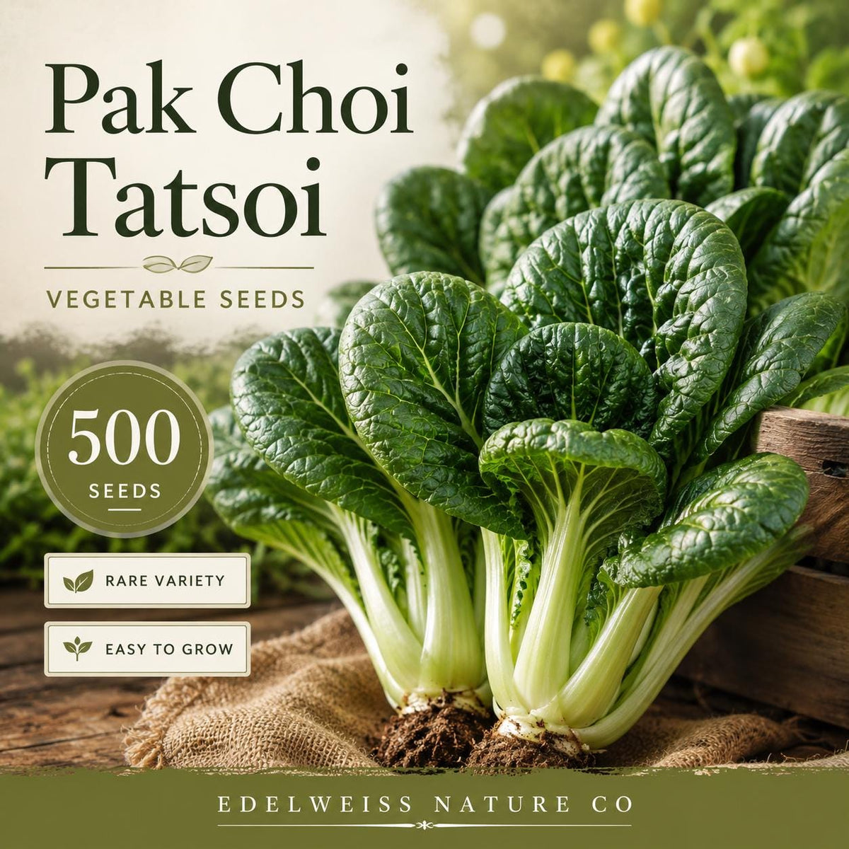 Tatsoi Pak Choi Seeds | Heirloom Asian Greens for Easy Growing (500 Seeds)