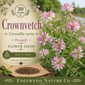 Coronilla varia 30 Seeds – Crownvetch Penngift Heirloom Non-GMO Ground Cover