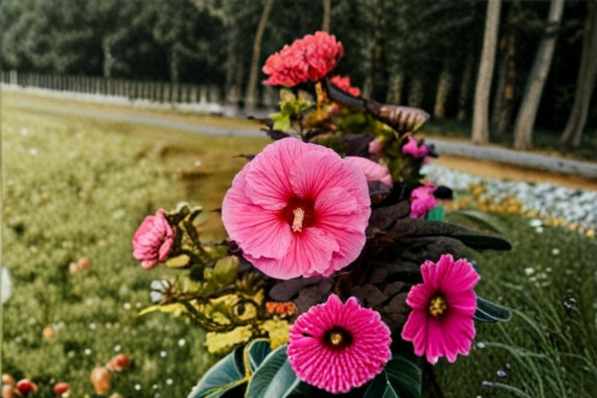10 Seeds Dinnerplate Hibiscus Hibiscus moscheutos