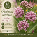 Asclepias speciosa 15 Seeds – Showy Milkweed Heirloom Non-GMO Native Pink Pollinator Plant