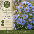 Symphyotrichum oolentangiense 100 Seeds – Sky Blue Aster Heirloom Non-GMO Native Pollinator Flower