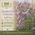 Symphyotrichum turbinellum 100 Seeds – Prairie Aster Heirloom Native Purple Pollinator Flower