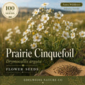Prairie Cinquefoil Seeds - Native White Wildflower, Drought Tolerant (100 Seeds)