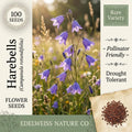 Campanula Rotundifolia Seeds – 100 Harebells – Blue Bellflower Native Wildflower
