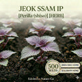 Jeok Ssam Ip Perilla Seeds – 500 Red Shiso Korean Herb Seeds for Planting