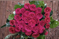 Pretty N Pink Rose 3 Cuttings - Rosa hybrid Live Plant Cuttings for Propagation