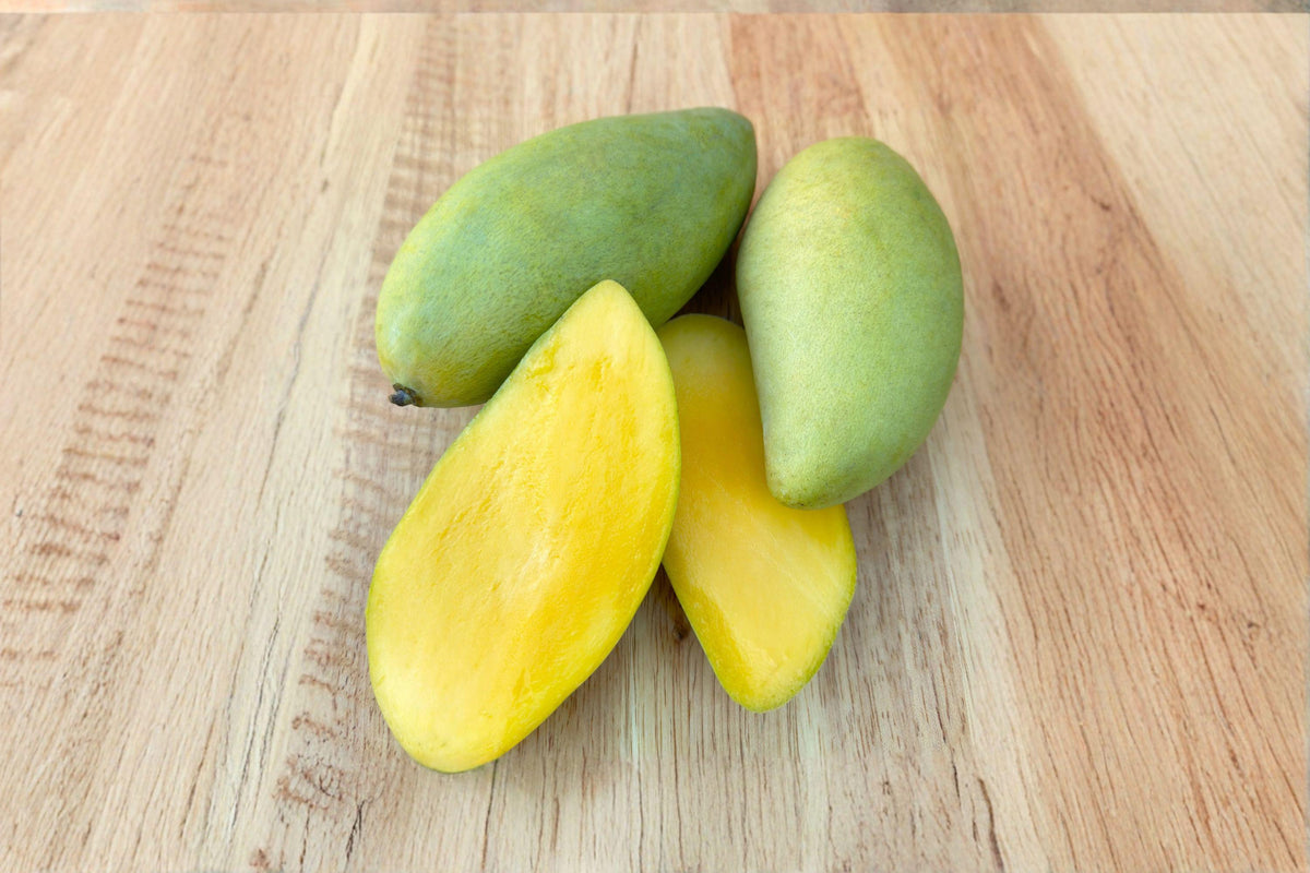 1 Nam Dok Mai Mango Seed – Mangifera indica Tropical Fruit Tree Seed