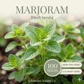 Sweet Marjoram Herb Seeds 500 Count Heirloom Culinary & Medicinal